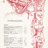 630. Feste 1959
